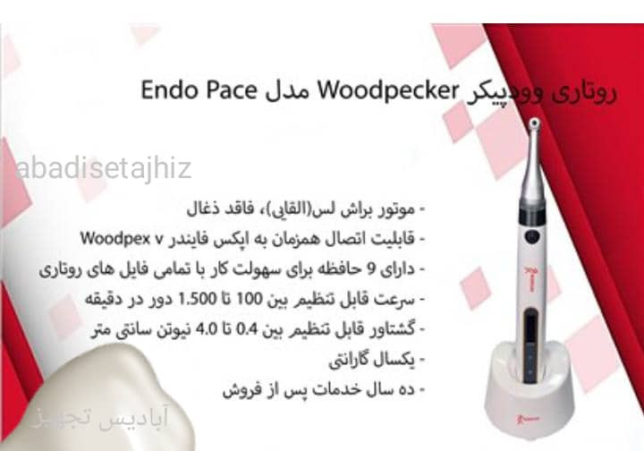 روتاری بیسیم وودپیکر woodpecker اندو پِیس endo pace