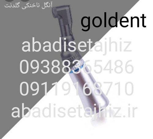 آنگل ناخنکی گلدنت golden