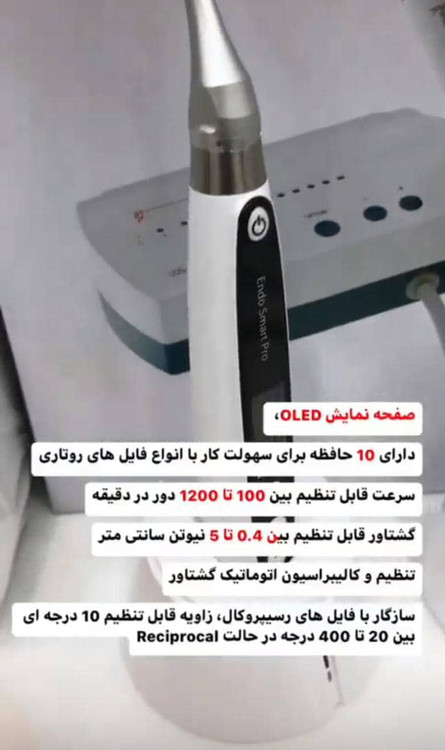 rotary endo smart pro woodpecker