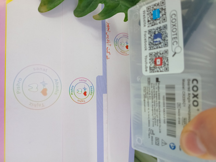 هندپیس مستقیم کوکسو