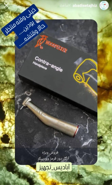 آنگل دورقرمز وودپیکر